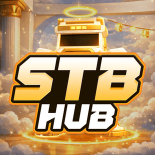 STB HUB